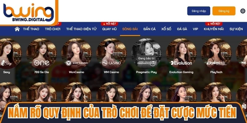Nắm rõ quy định của trò chơi để đặt cược mức tiền mong muốn