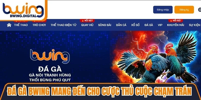 Đá gà BWING mang đến cho cược thủ những cuộc chạm trán nảy lửa