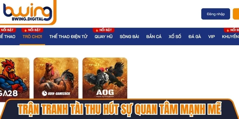 Trận tranh tài thu hút sự quan tâm mạnh mẽ từ cộng đồng mê chọi kê
